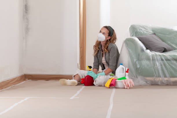 Reliable Mold Cleanup contractor in Cranbury, NJ by Cheap Mold Removal
